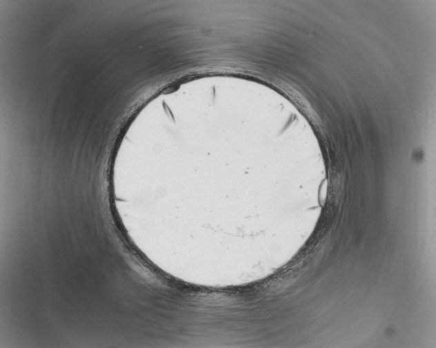 X0000116660389201001251222