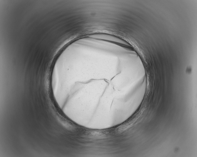 X0000116660390201001251222