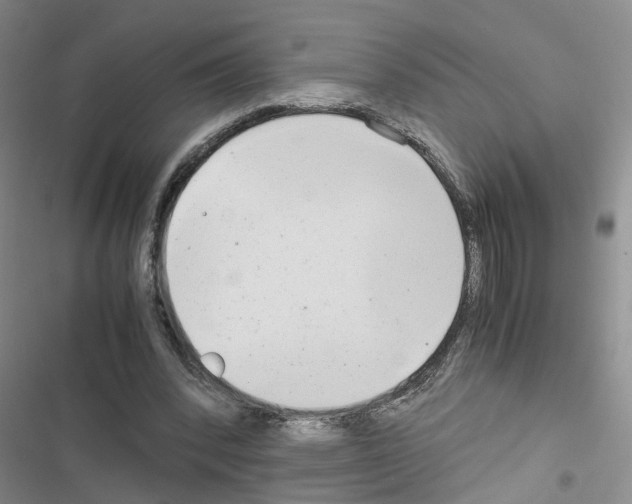 X0000116660392201001251222