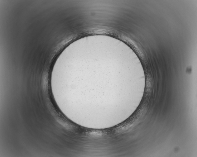 X0000116660394201001251222