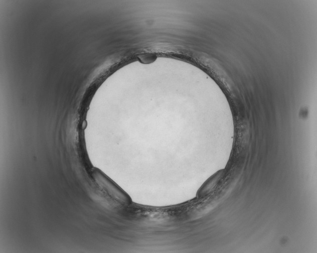 X0000116660395201001251222