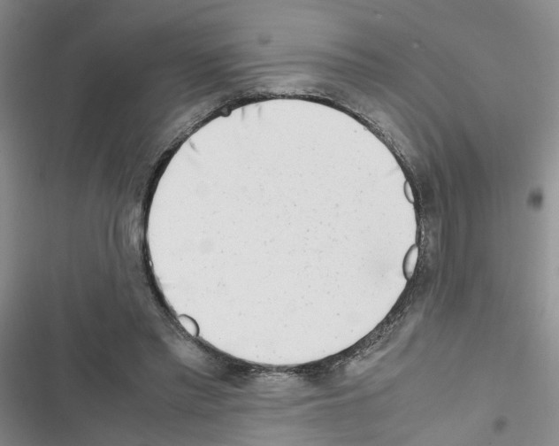 X0000116660397201001251222