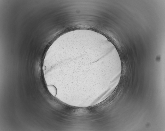 X0000116660398201001251222