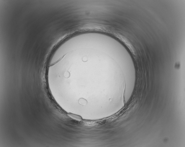 X0000116660399201001251222