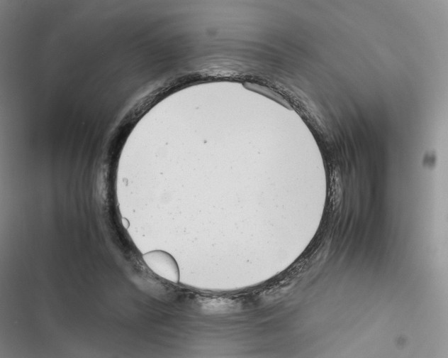 X0000116660400201001251222