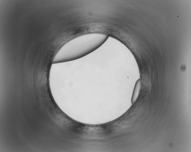 X0000116660401201001251222