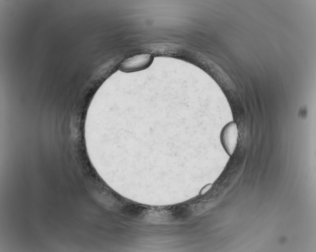 X0000116660403201001251222