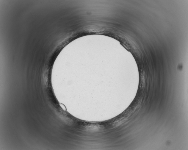 X0000116660404201001251222