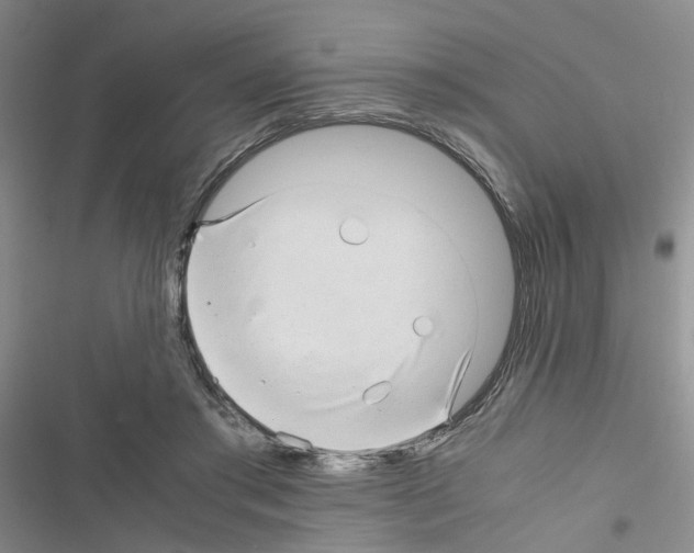 X0000116660405201001251222