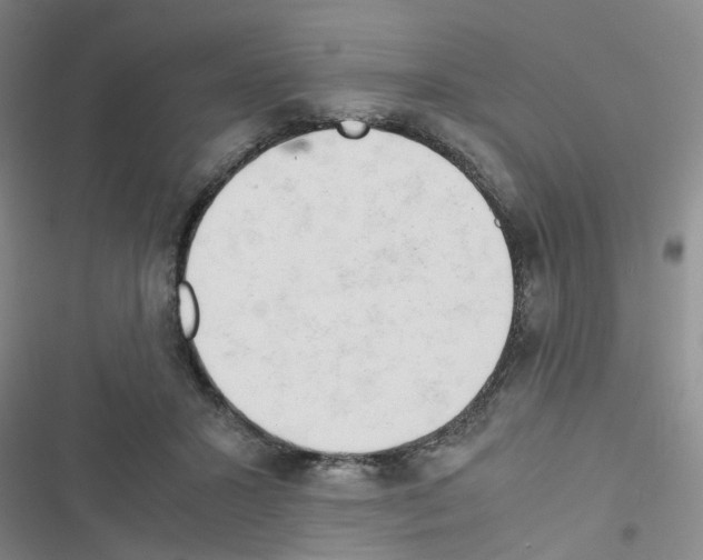 X0000116660407201001251222