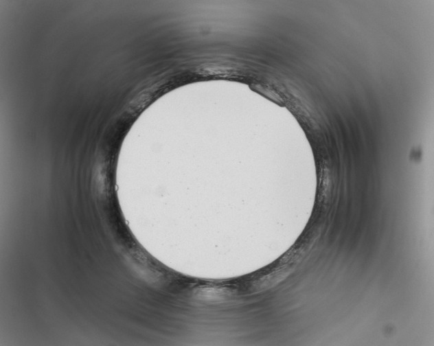 X0000116660408201001251222