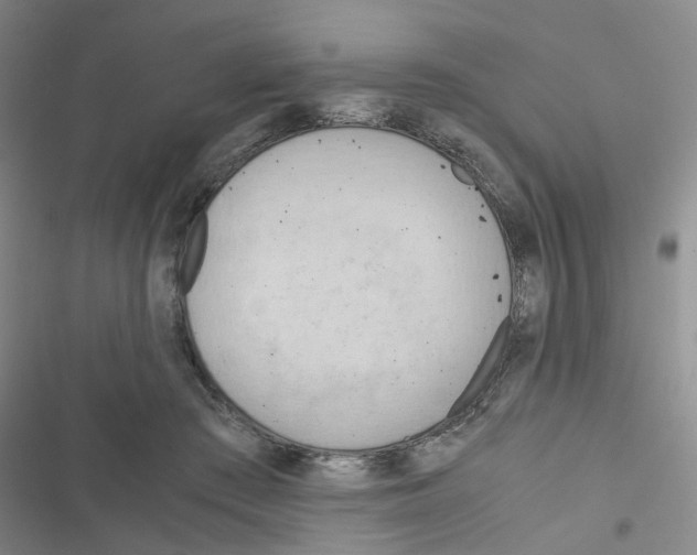 X0000116660409201001251222