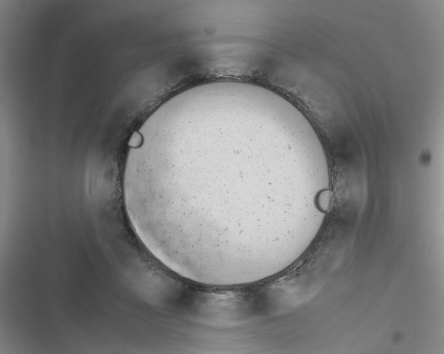 X0000116660411201001251222