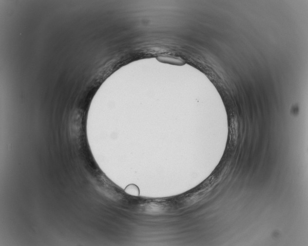 X0000116660412201001251222