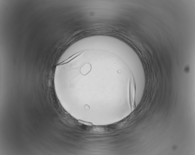 X0000116660413201001251222