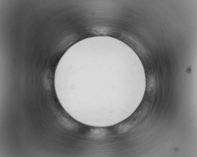 X0000116660414201001251222