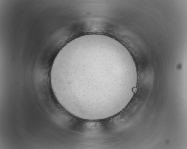 X0000116660415201001251222
