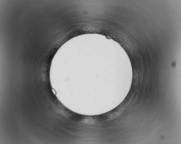 X0000116660416201001251222