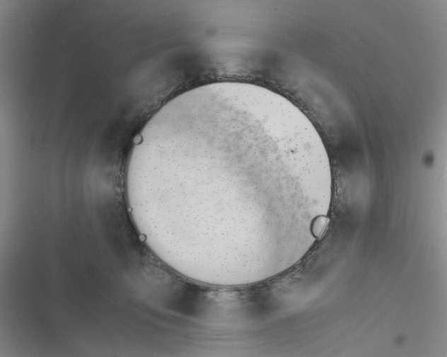 X0000116660419201001251222