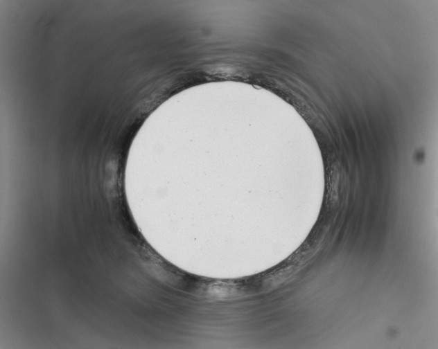 X0000116660420201001251222