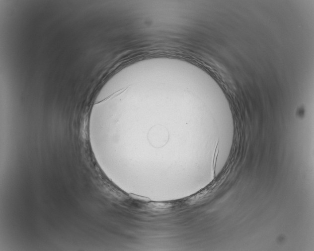 X0000116660421201001251222