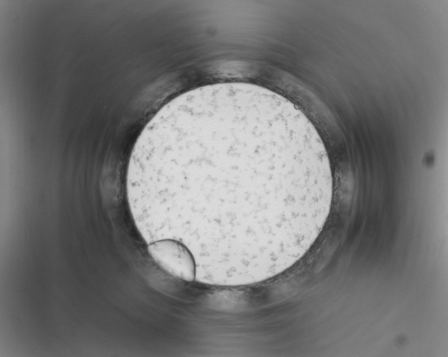 X0000116660422201001251222