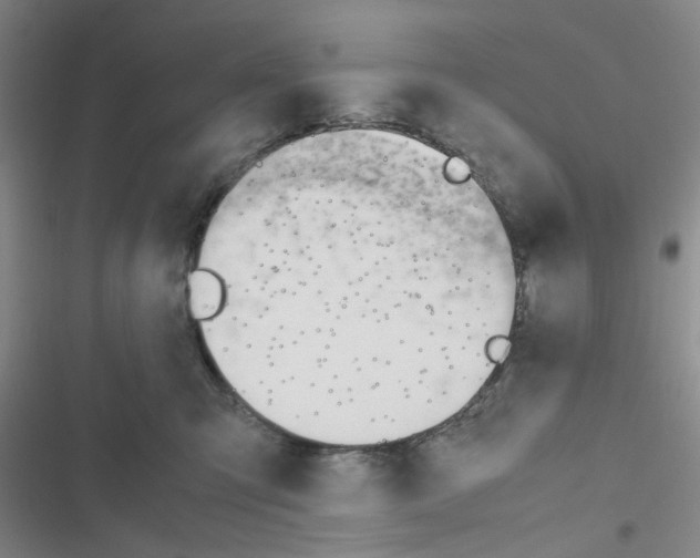 X0000116660423201001251222
