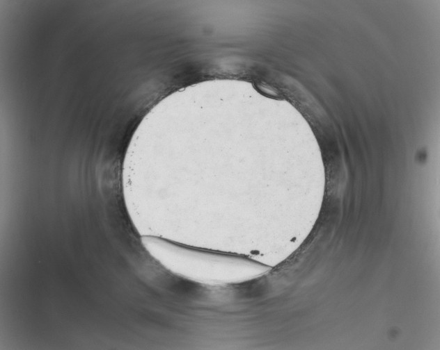 X0000116660425201001251222