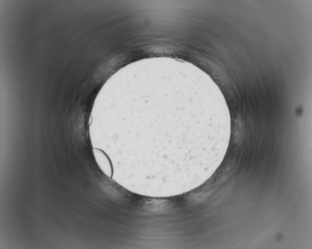 X0000116660428201001251222
