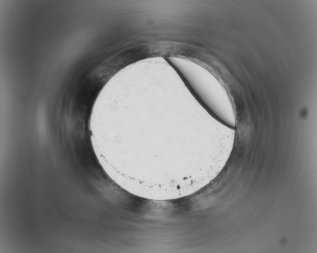 X0000116660429201001251222