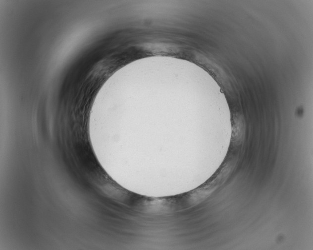 X0000116660430201001251222
