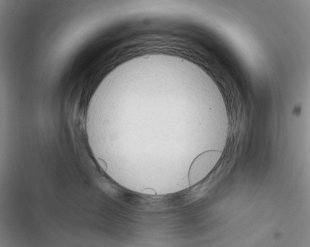 X0000116660431201001251222