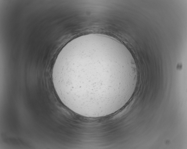 X0000116660432201001251221