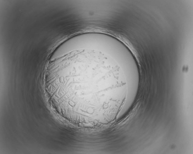 X0000116660433201001251221