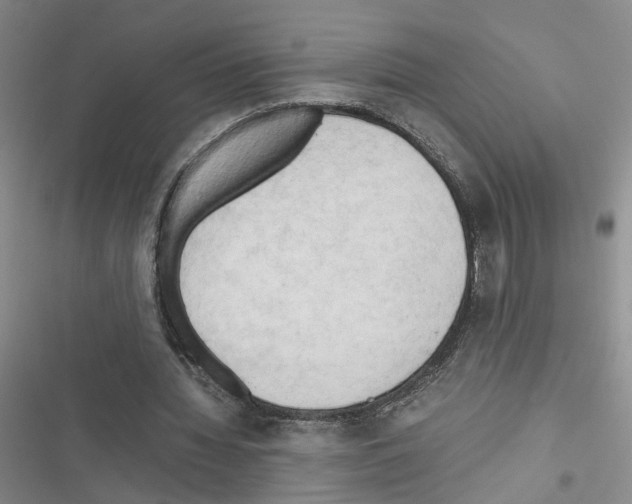 X0000116660436201001251221