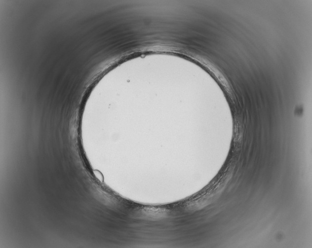 X0000116660437201001251221