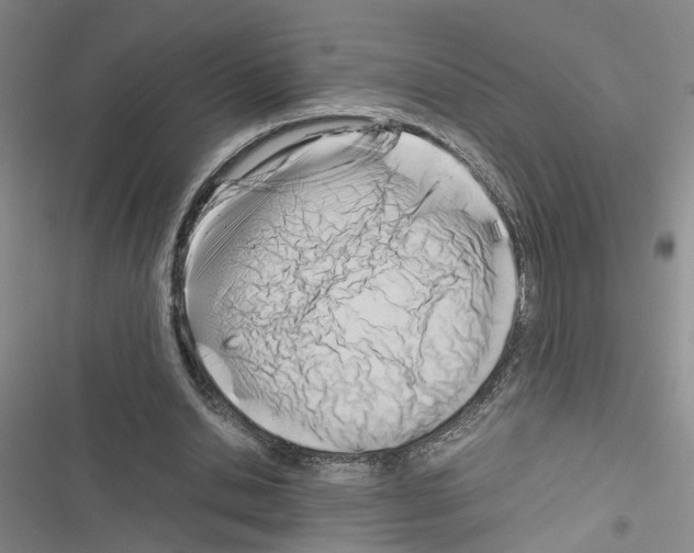 X0000116660438201001251221