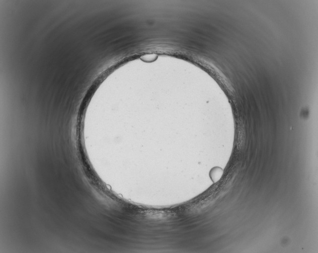 X0000116660439201001251221