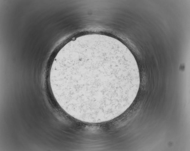 X0000116660440201001251221