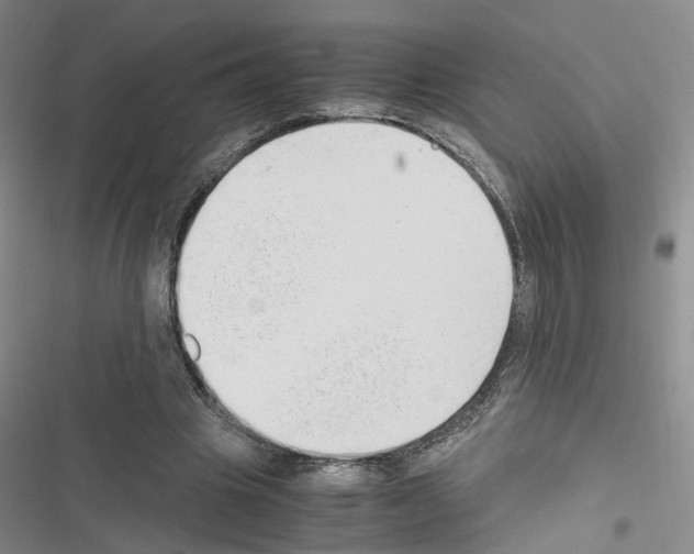 X0000116660441201001251221