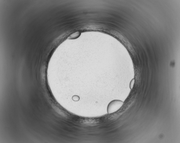 X0000116660445201001251221