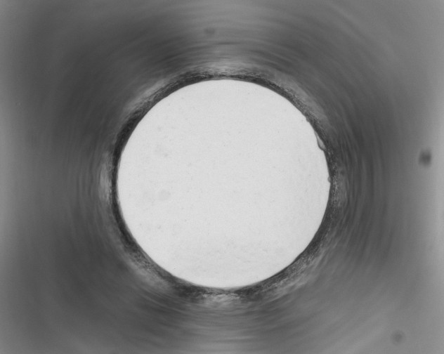 X0000116660446201001251221
