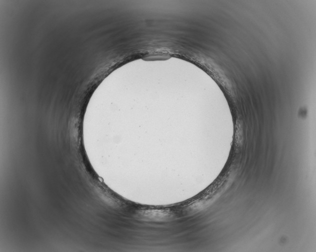 X0000116660449201001251221
