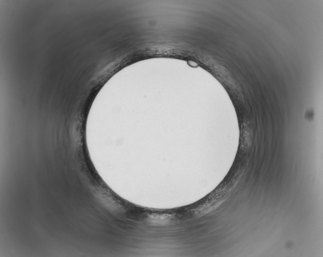 X0000116660450201001251221