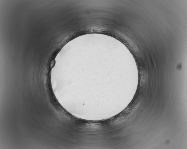 X0000116660451201001251221