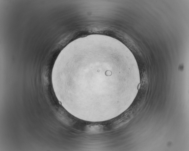 X0000116660452201001251221