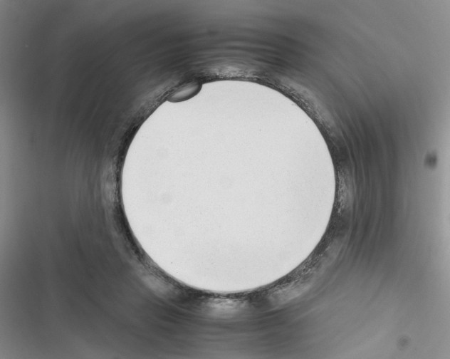 X0000116660453201001251221