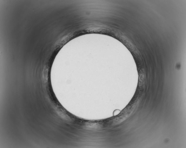 X0000116660454201001251221