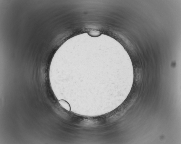 X0000116660455201001251221