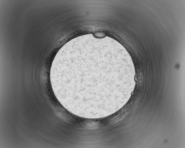 X0000116660456201001251221